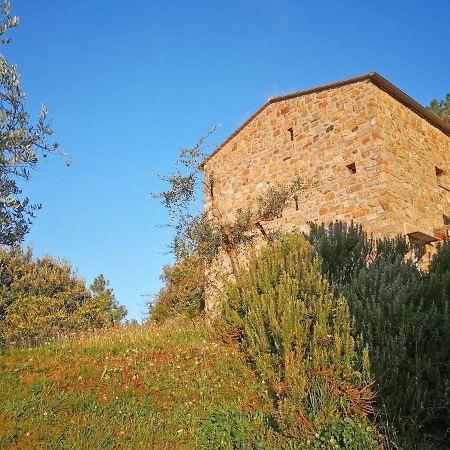 Cottage La Torre Del Pittore 博纳索拉 外观 照片