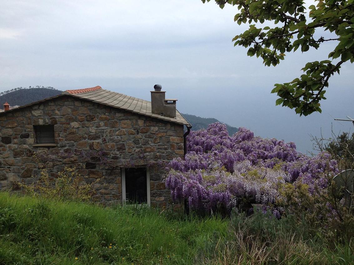 Cottage La Torre Del Pittore 博纳索拉 外观 照片