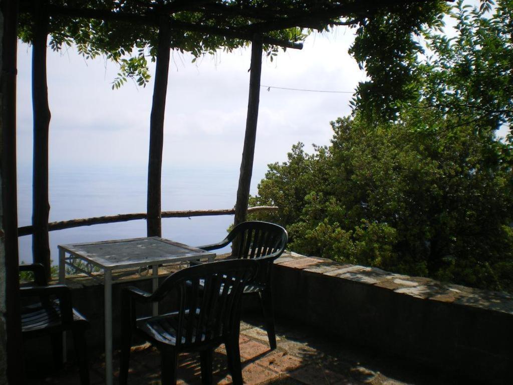 Cottage La Torre Del Pittore 博纳索拉 外观 照片