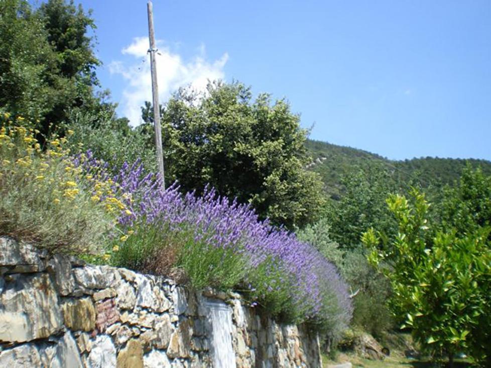 Cottage La Torre Del Pittore 博纳索拉 外观 照片