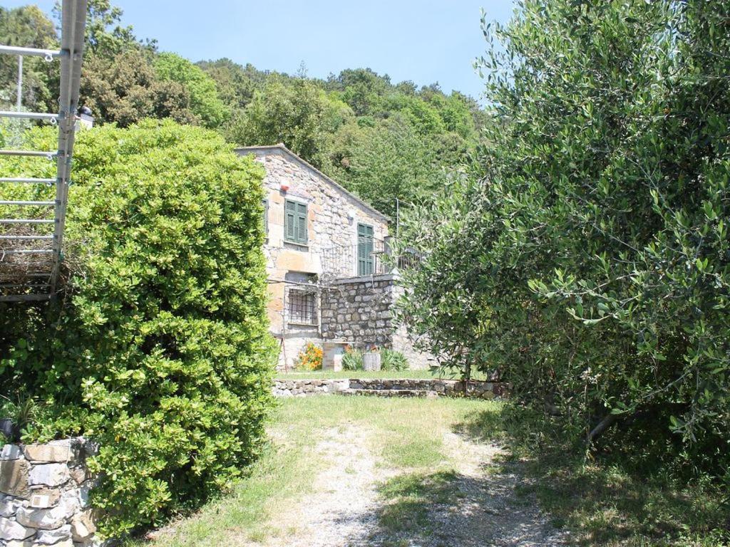 Cottage La Torre Del Pittore 博纳索拉 外观 照片