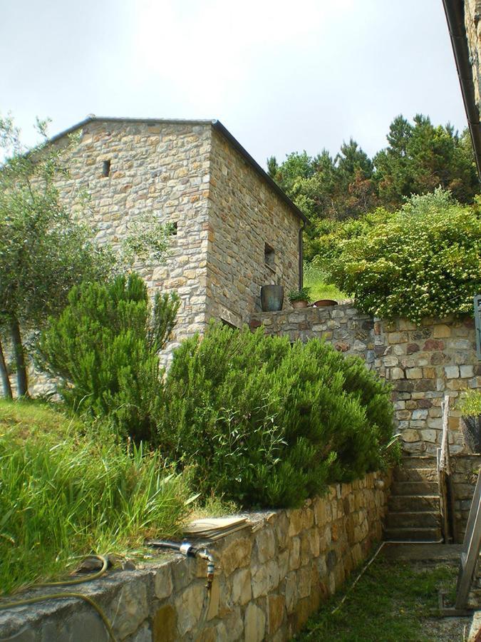 Cottage La Torre Del Pittore 博纳索拉 外观 照片