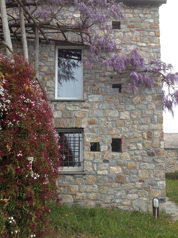 Cottage La Torre Del Pittore 博纳索拉 外观 照片