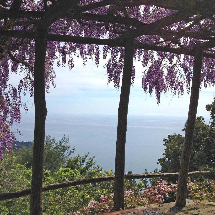 Cottage La Torre Del Pittore 博纳索拉 外观 照片