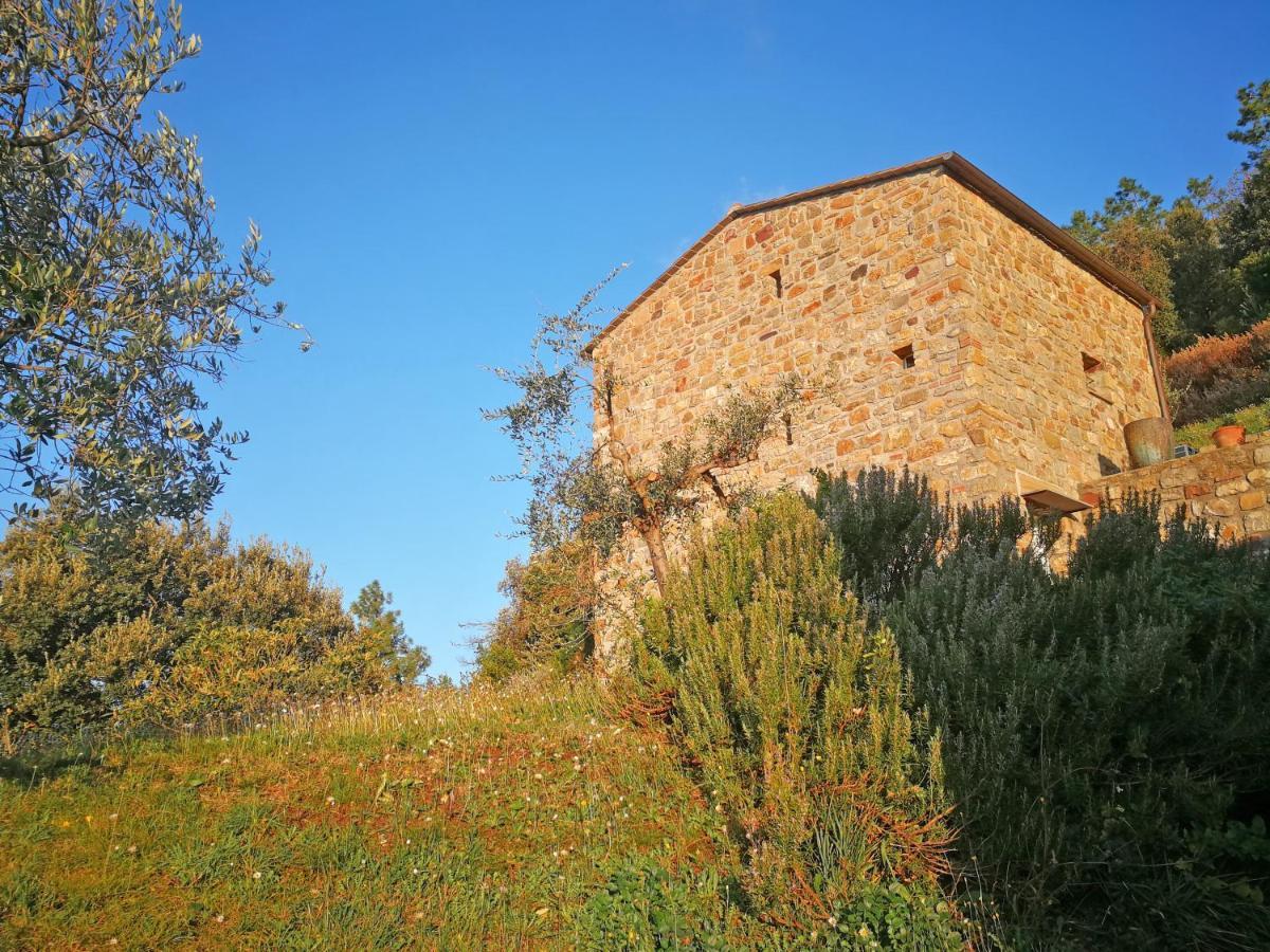 Cottage La Torre Del Pittore 博纳索拉 外观 照片