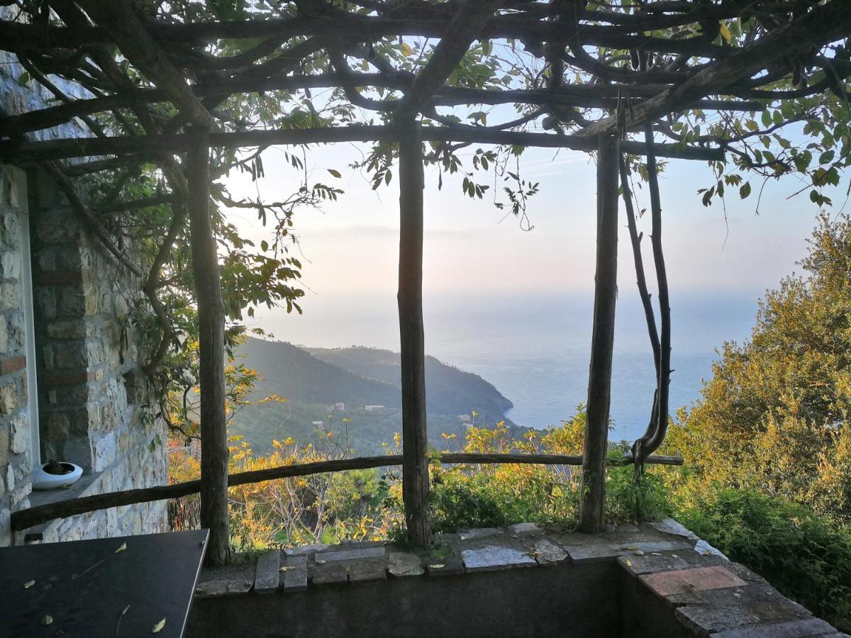 Cottage La Torre Del Pittore 博纳索拉 外观 照片