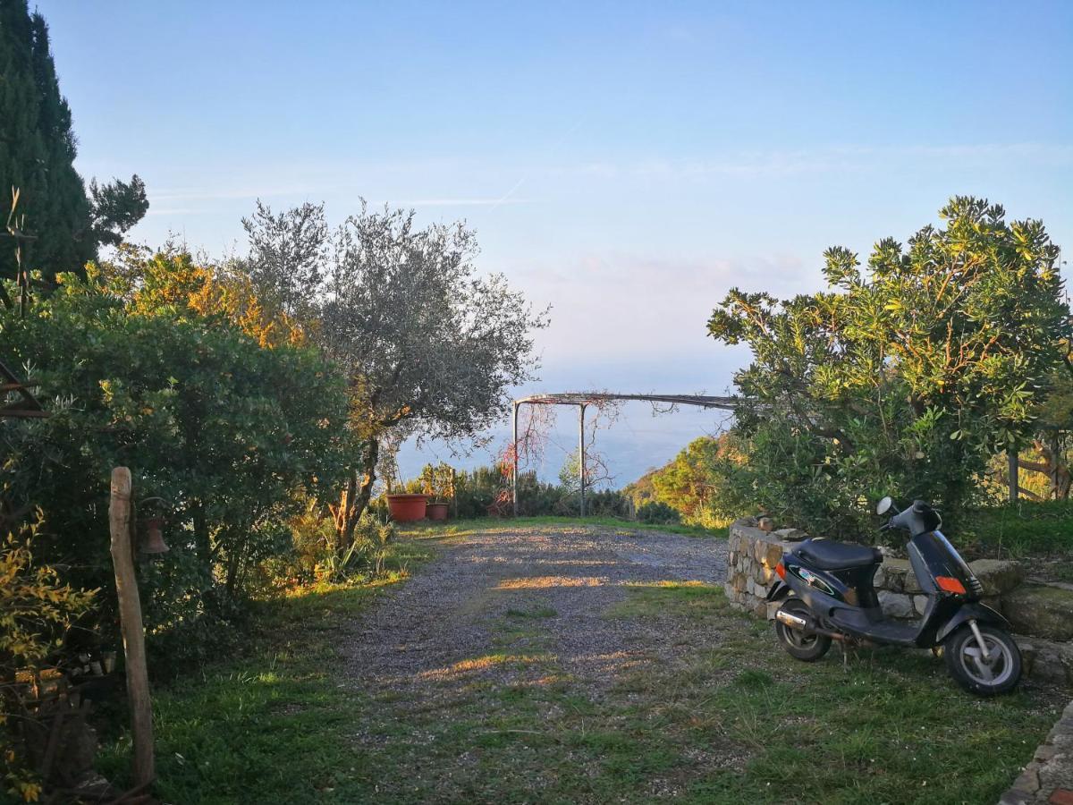 Cottage La Torre Del Pittore 博纳索拉 外观 照片