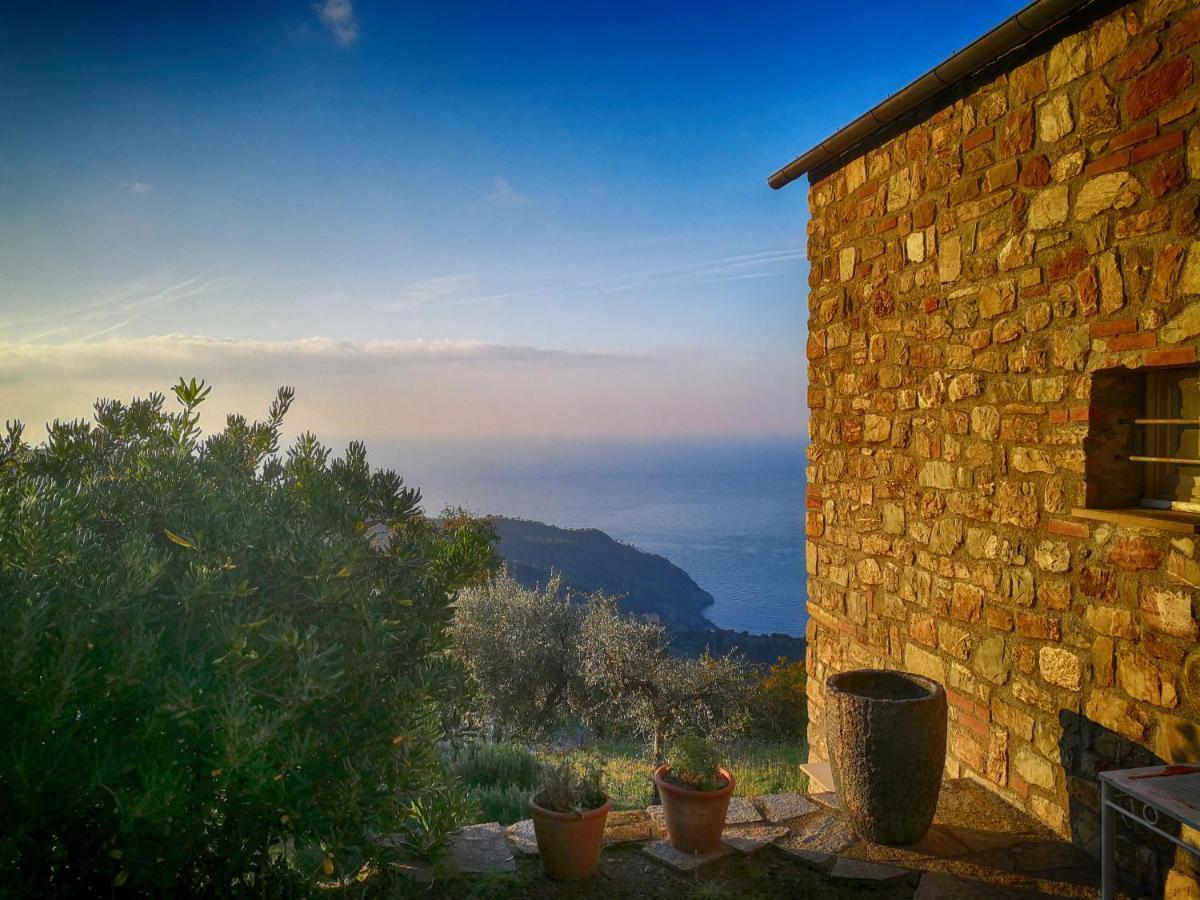Cottage La Torre Del Pittore 博纳索拉 外观 照片